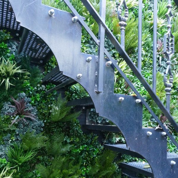 Outdoor Green Wall Staircase
