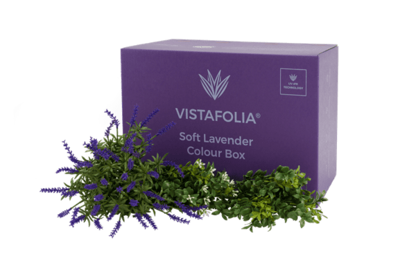 Soft-Lavender-Colour-Box