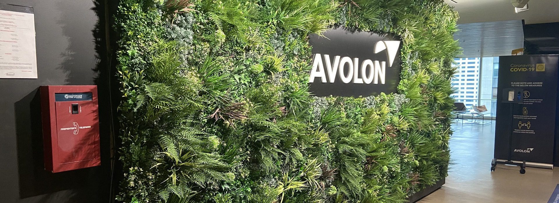 Avolon Office Green Wall