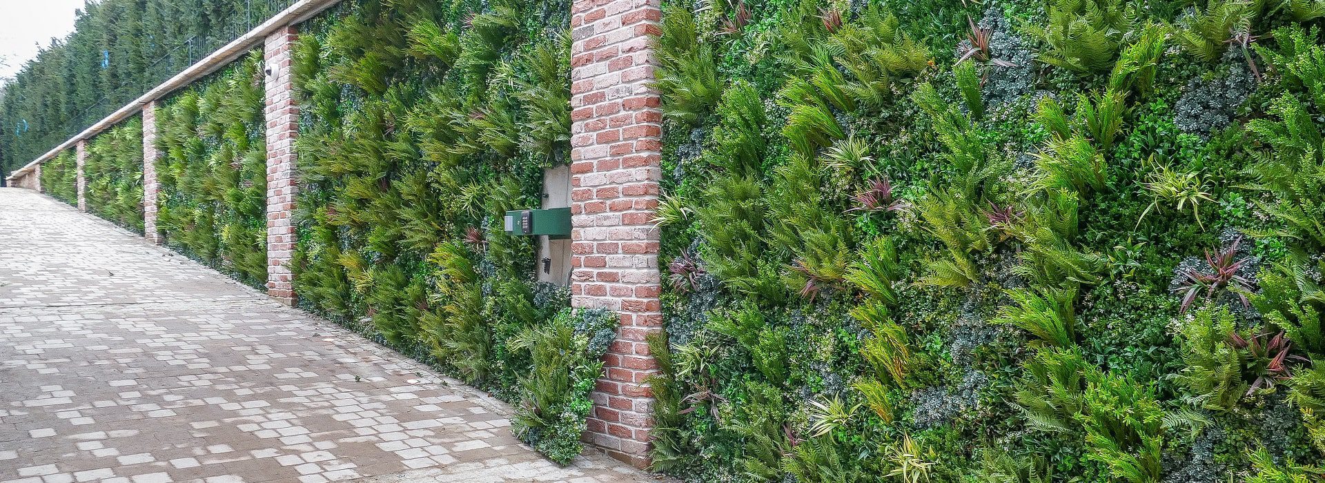 Natural-Looking Green Wall