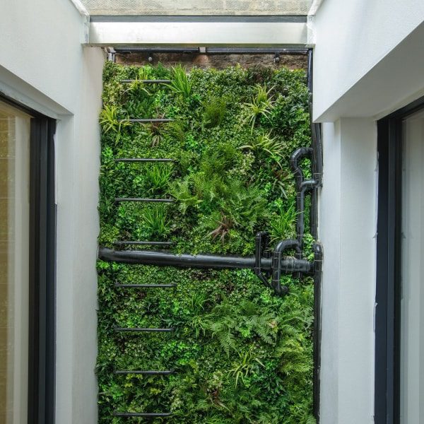 Lightwell Vertical Green Wall