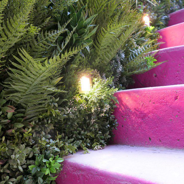 Outdoor Tropical Staircase