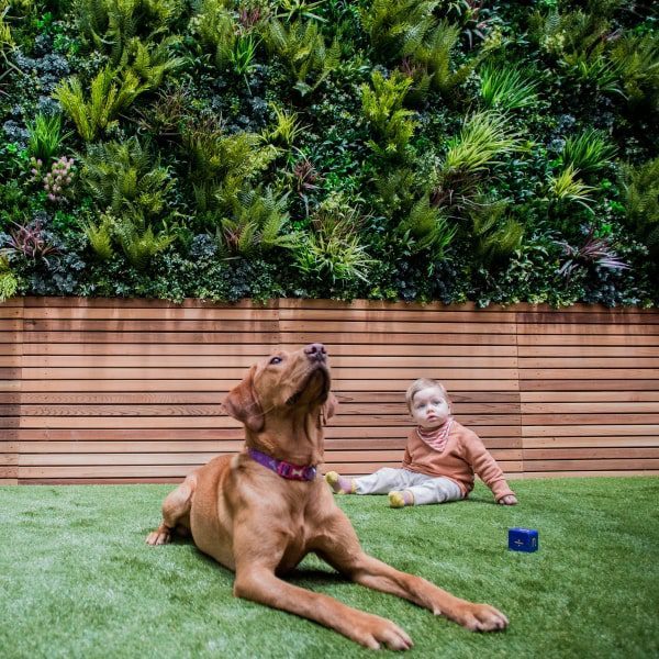 Garden Green Wall plant Panels with child and dog