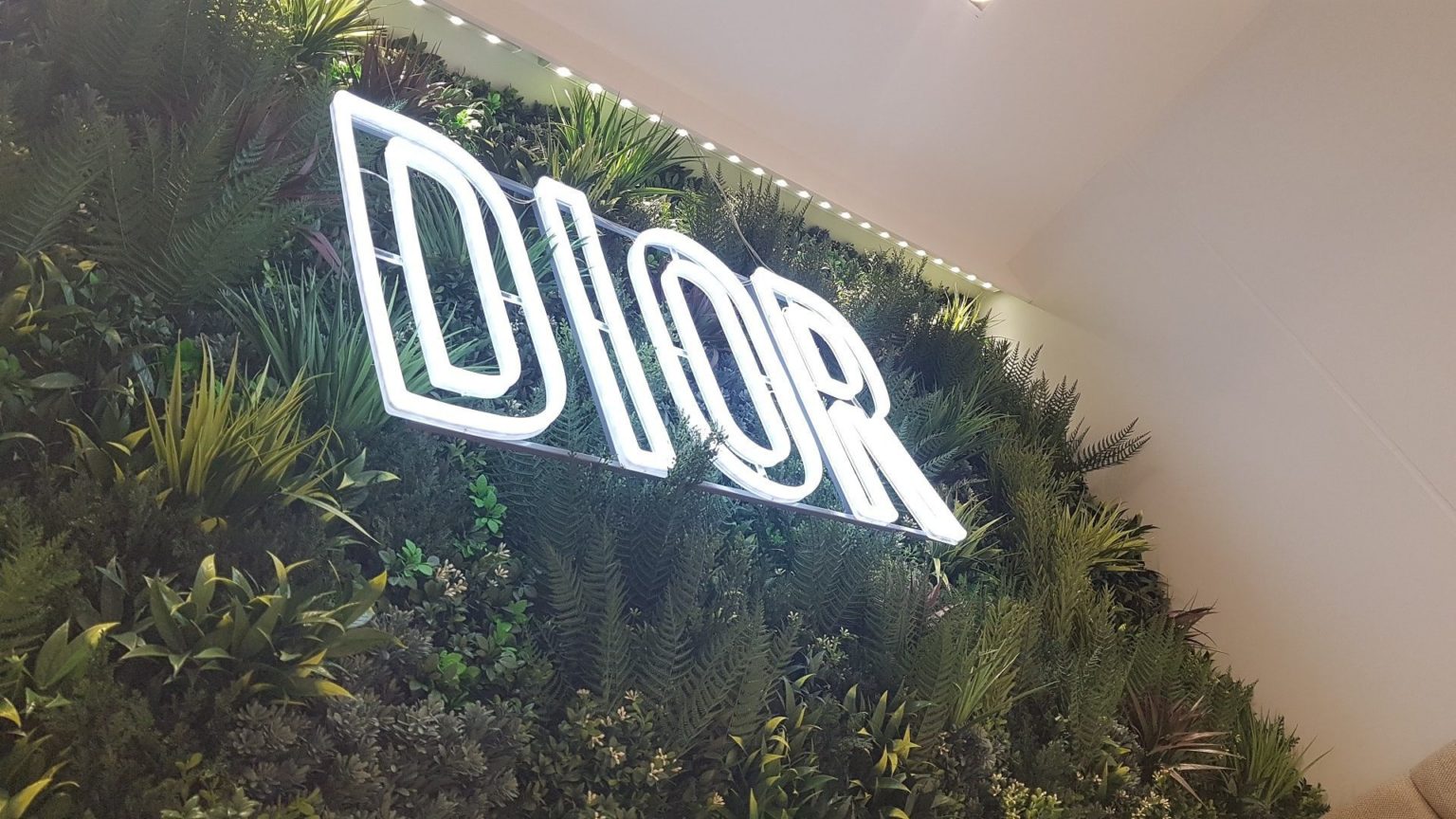 Christian Dior sign on realistic plant wall