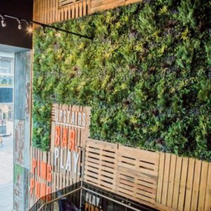 Trendy bar with living wall display