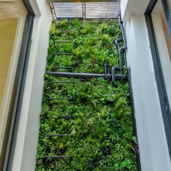 Green Wall Ladder Privacy Screen