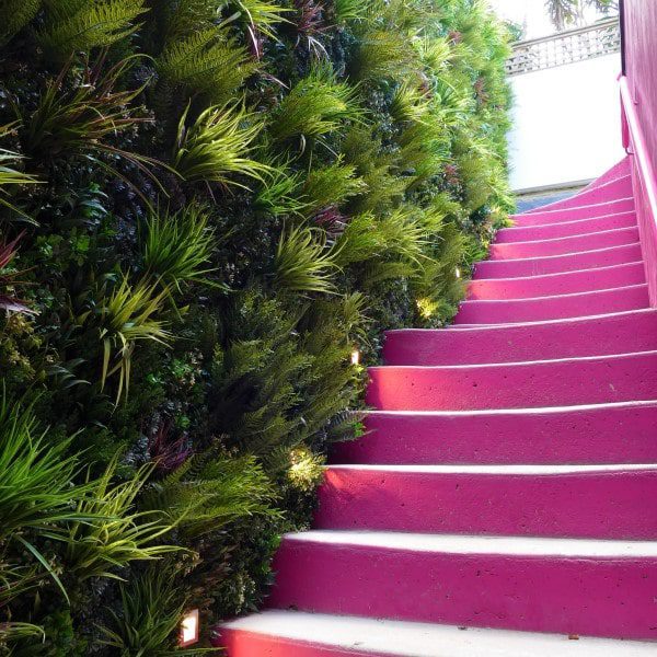 Outdoor living wall by lit pink stairs