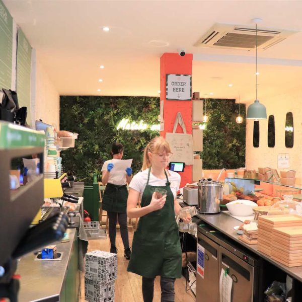 Coffee Shop Green Wall Design