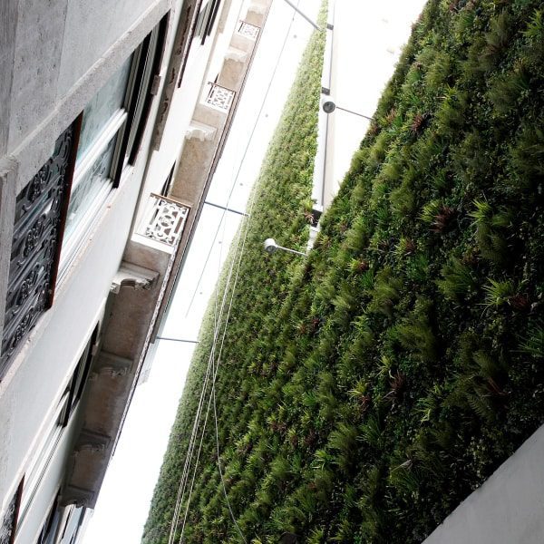 Photo taken looking up at artificial living walls