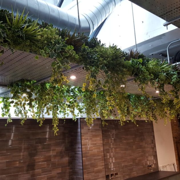 artificial ivy plant hanging down from ceiling
