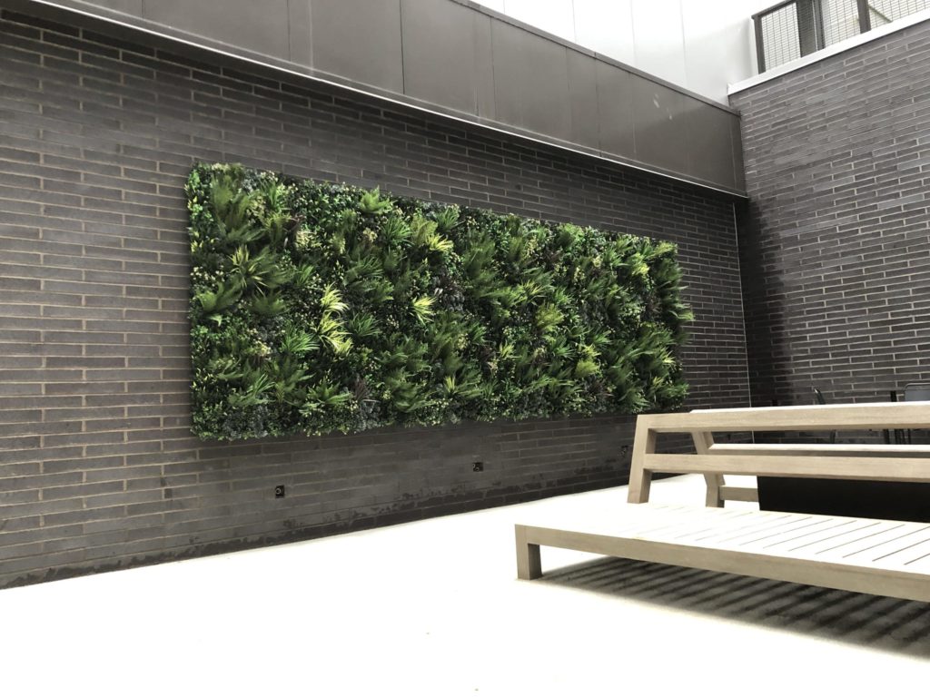 Stunning Courtyard Green Wall Bamhaus