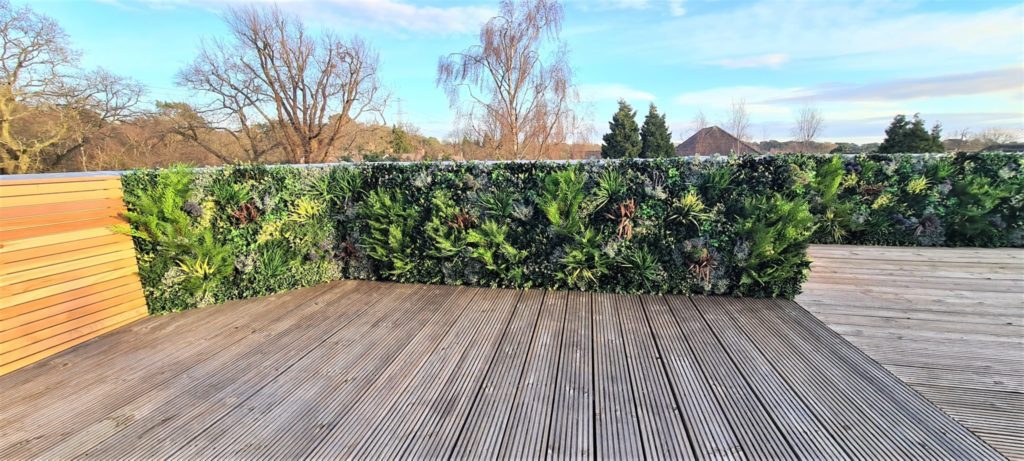 Rooftop Balcony Green Wall in Surrey