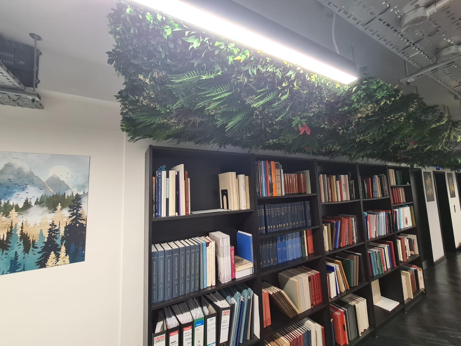 Living Green Wall Ceiling Install in London Shop